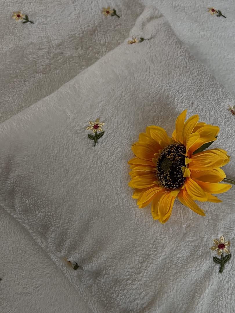 دفاية بلومي