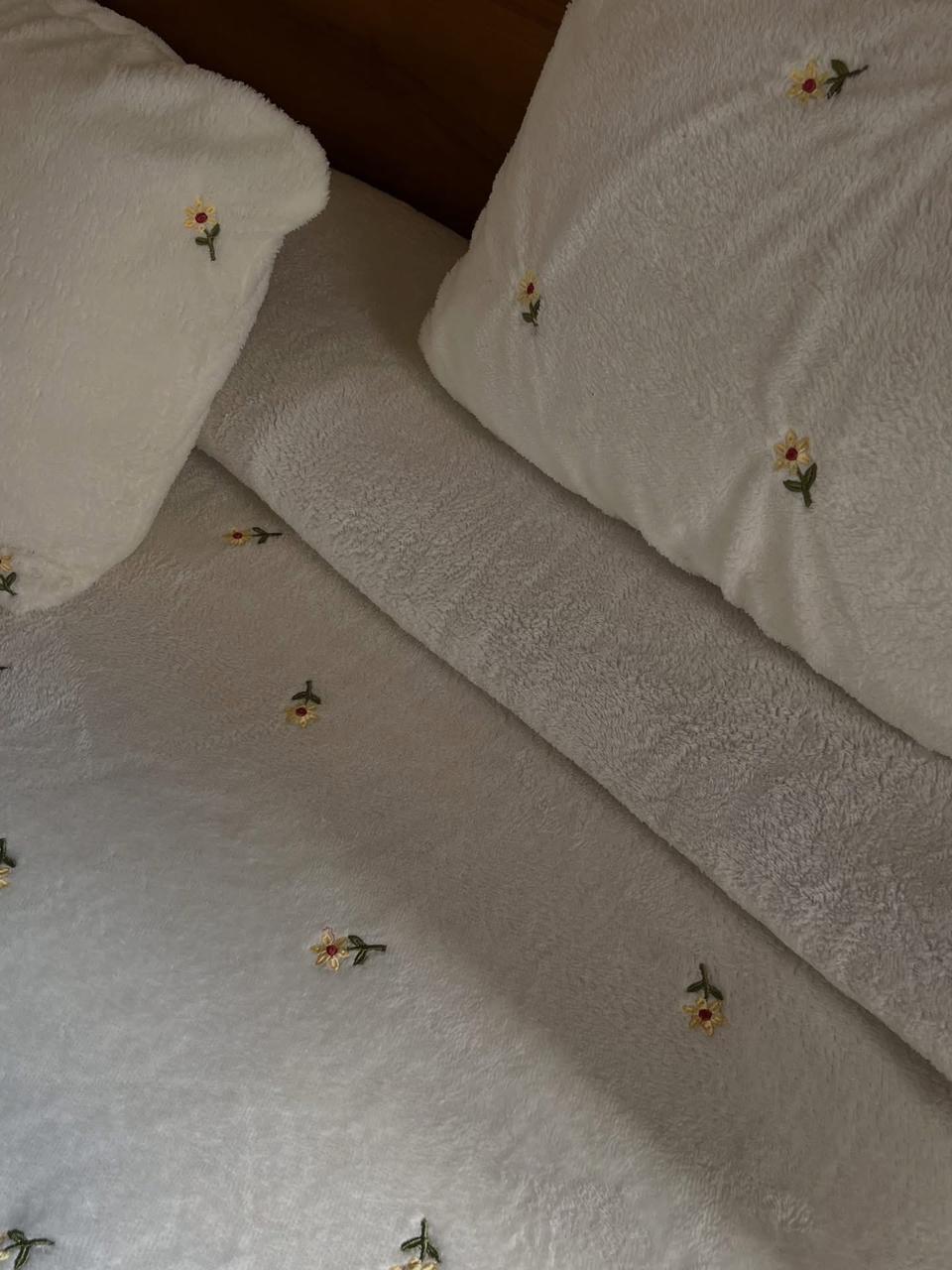 دفاية بلومي