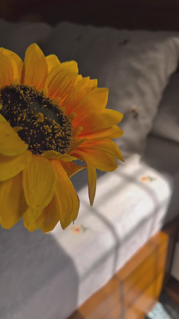 دفاية بلومي